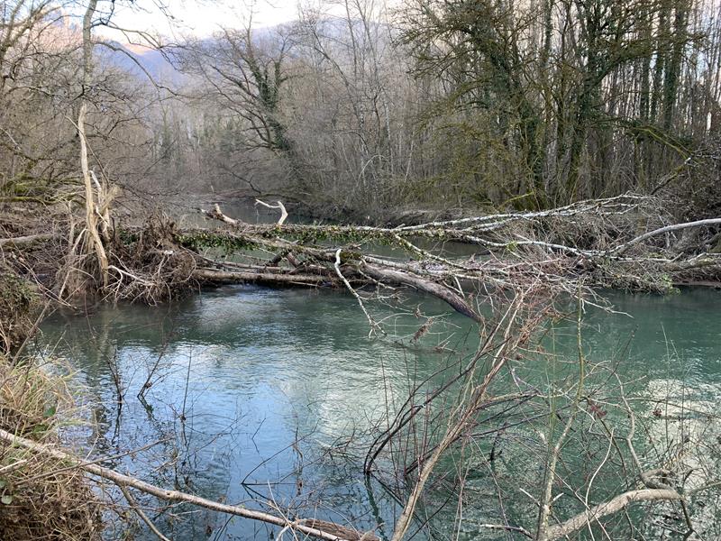 SÉRAN - GESTION DES BOISEMENTS - EMBÂCLES POST-CRUE
