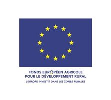 logo-europe-viarhona