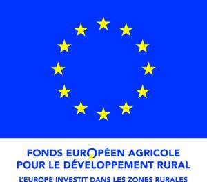 LOGO FEADER QUADRI